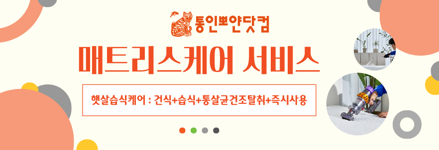 매트리스케어 서비스