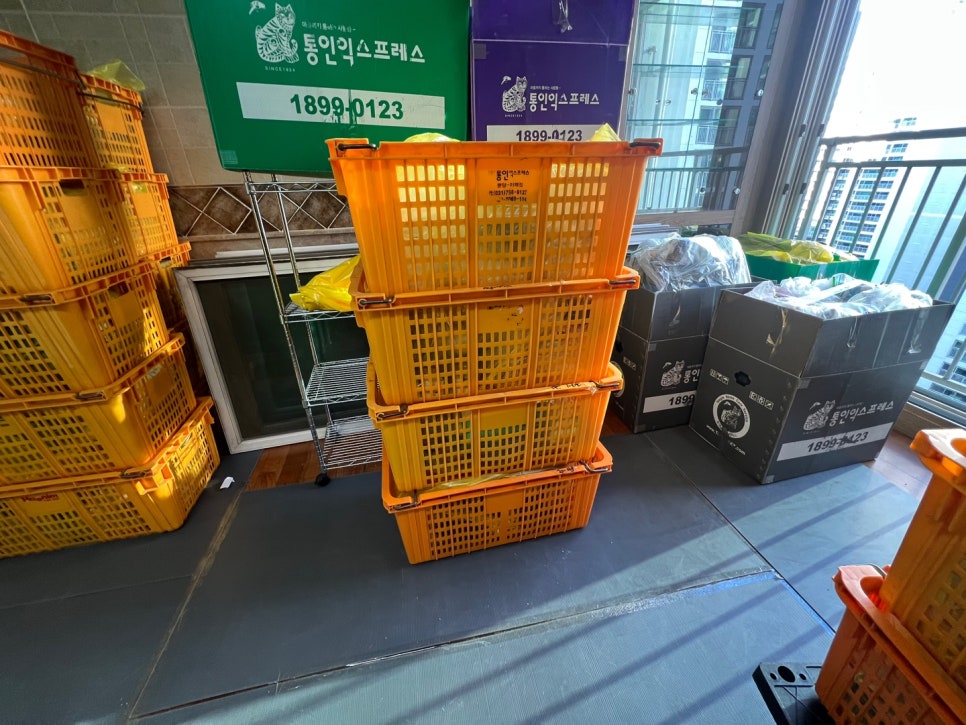 KakaoTalk_20250221_095148678_25.jpg